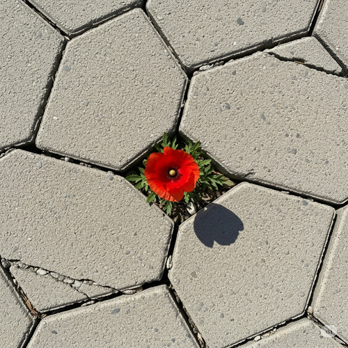 Beyond the To-Do List: Making a Wish for Your Well-Being