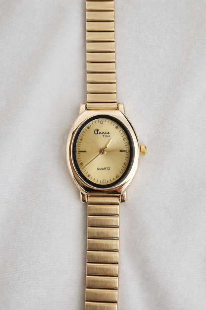 GINI Watch