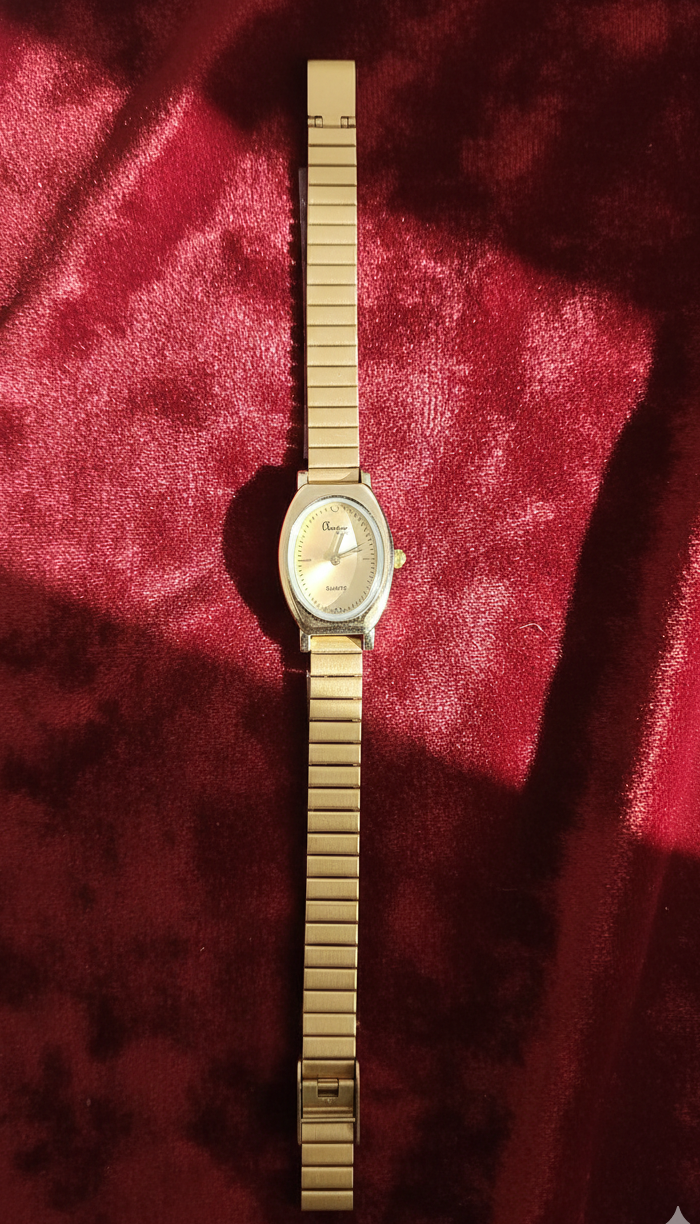 GINI Watch