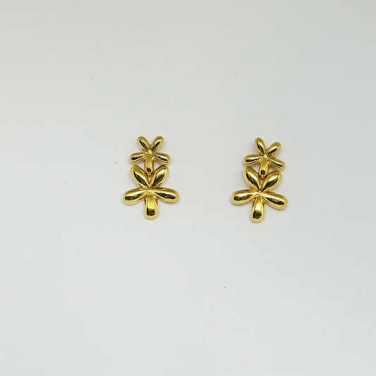 Pair of gold earrings on a white background
